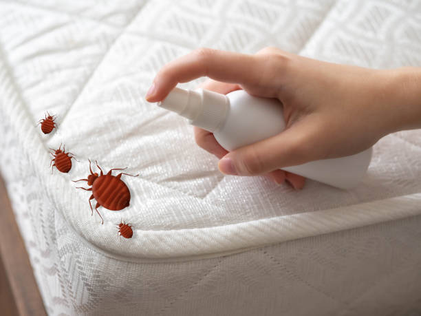 Best Cockroach Control  in Lake Hallie, WI